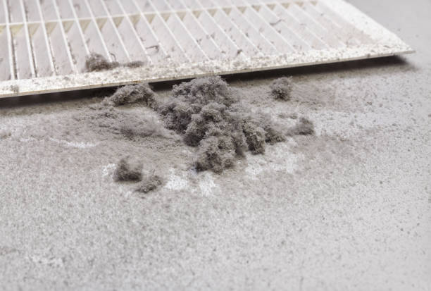 Best Best Air Duct Cleaning Company  in Towamensing Trails, PA